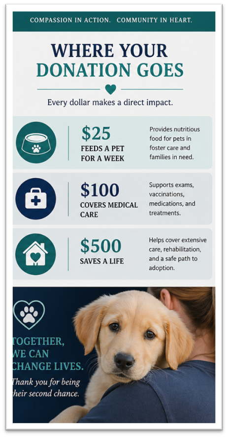 Where Your Donation Goes — $25 Feeds a Pet for a Week, $100 Covers Medical Care, $500 Saves a Life. Together, We Can Change Lives.