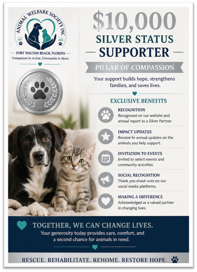$10,000 Silver Status Supporter — Pillar of Compassion. Exclusive benefits: Recognition, Impact Updates, Invitation to Events, Social Recognition, Making a Difference.