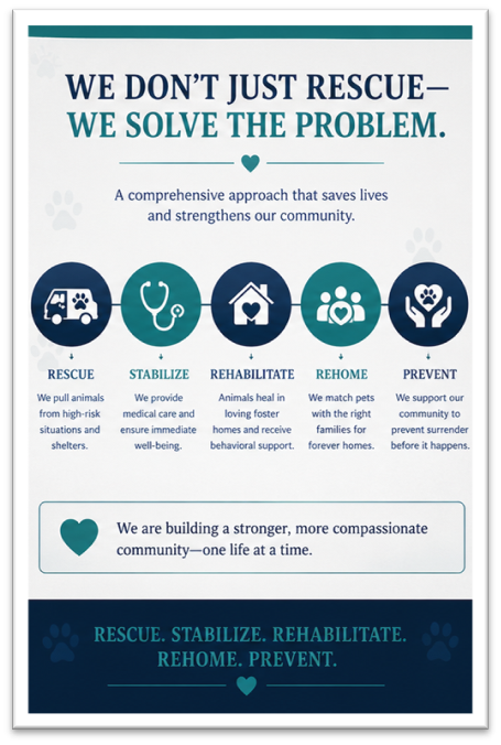 We Don't Just Rescue — We Solve the Problem. Rescue → Stabilize → Rehabilitate → Rehome → Prevent