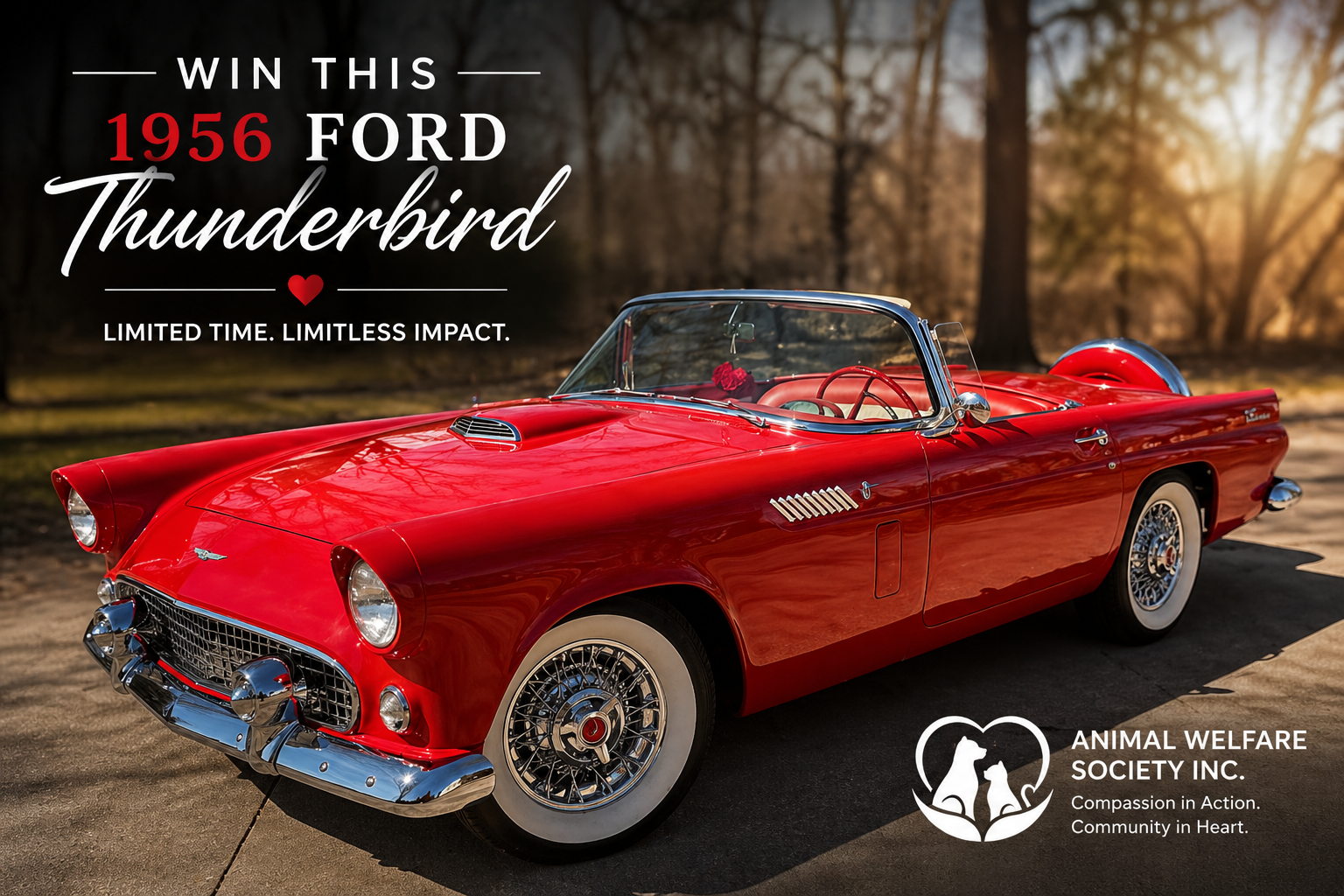 1956 Ford Thunderbird — Fully Restored